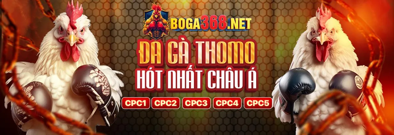 Sân vận động bóng đá với ánh đèn rực rỡ và bầu không khí sôi động của cá cược thể thao ebet4